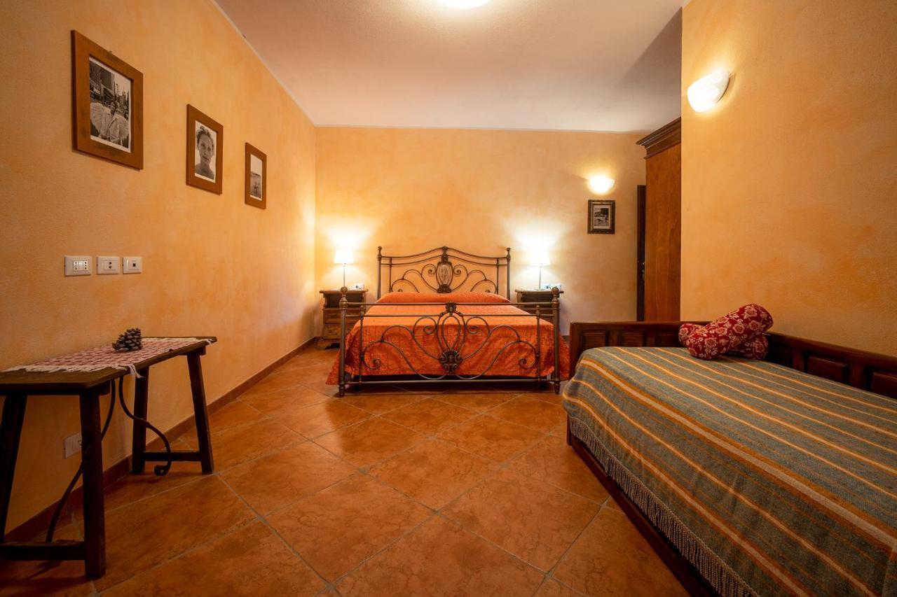 Podere Somboli Monte San Savino Ngoại thất bức ảnh